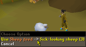 Sheep feed
